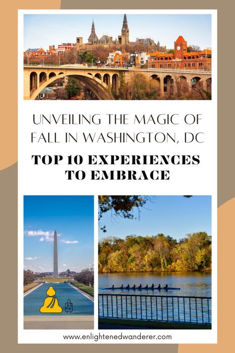 Washington, DC, a city of historical significance and vibrant culture, takes on a new charm as autumn sets in. The city's iconic landmarks are bathed in the warm hues of fall foliage, creating a captivating backdrop for a unique exploration. Join us as we uncover the top 10 activities that epitomize the essence of fall in Washington, DC, from cultural delights to natural wonders. Fall In Washington, New Charmed, Iconic Landmarks, Travel Goals, Fall Foliage, Travel Advice, Natural Wonders, Where To Go, Washington Dc