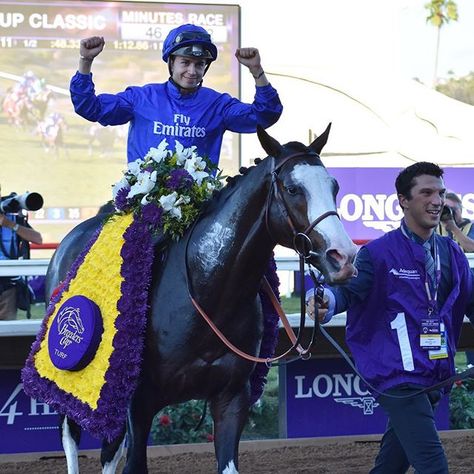 Talismanic (GB) claims the 2017 Longines Breeders' Cup Turf title. • • • #bc17 #breederscup2017 #breederscup #betanywhere #twinspires #delmar #delmarracetrack #longines #michaelbarzalona #sandiegoconnection #sdlocals #delmarlocals - posted by TwinSpires.com https://www.instagram.com/twinspires. See more post on Del Mar at http://delmarlocals.com Del Mar Race Track, Breeders Cup, Race Horse, Famous Names, Race Horses, California Photography, Horse Photography, Thoroughbred, Horse Stuff