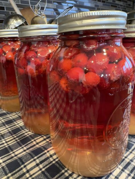 Canning Cranberry Recipes, Canning Cranberry Juice Recipes, Canned Cranberry Juice, Canning Cranberry Juice, Canning Juice, Canning Cranberry, Canned Cranberries, Easy Canning, Honey Bread