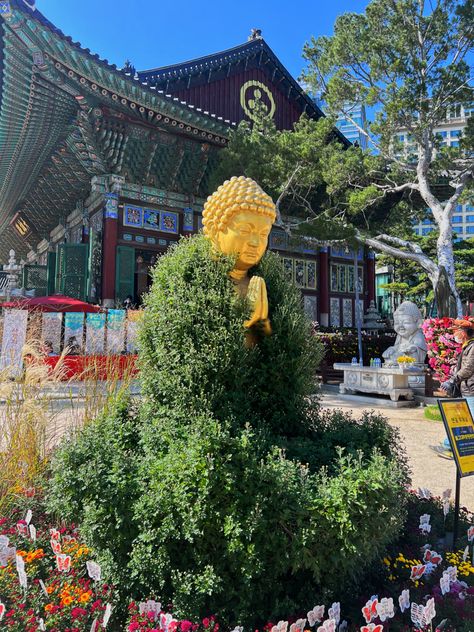 # Jogyesa Temple 조계사 # Jogyesa Temple #조계사 #aesthetically pleasing #photography #aestheitcs #korea travel #south korea #beautiful photos #korea #photoart #photooftheday #instadaily #Seoul #seoul city #Seoul travel Jogyesa Temple, Korea Temple, Travel South Korea, Seoul City, Seoul Travel, Korea Travel, Travel South, Seoul Korea, Aesthetically Pleasing