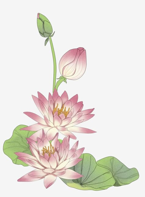 Lotus Flower Art Design, Lotus Border Design, Pichwai Paintings Lotus, Lotus Flower Drawings, Border Painting, Lotus Clipart, Lotus Illustration, Lotus Graphic, Painted Map