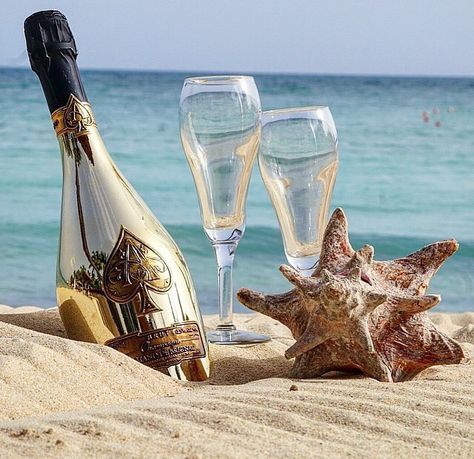 Champagne & the beach ღ Beach Champagne, Handmade Swimwear, Food Photoshoot, Beach Engagement Photos, Vacation Villas, Shell Beach, Vacation Planning, See You Soon, Antigua And Barbuda