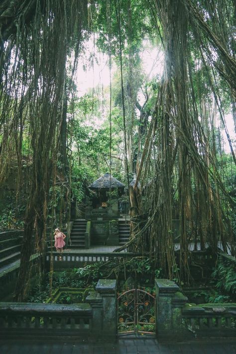 Ubud Monkey Forest In Bali - Things To Know Before You Visit (21) Monkey Forest Bali, Ubud Monkey Forest, Temple Bali, El Yunque Rainforest, Voyage Bali, Monkey Forest, Bali Holidays, Bali Travel Guide, Mountain Travel