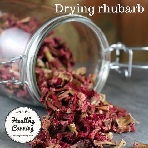 Dried Rhubarb, Healthy Canning, Rhubarb Cocktail, Dehydrated Vegetables, Tart Filling, Salad Spinner, Rhubarb Recipes, Cocktail Kits, Dehydrated Food