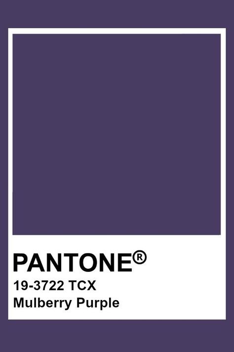 Mulberry Purple Aesthetic, Purple Pantone Shades, Pantone Viola, Pantone Colors Purple, Pantone Purple Shades, Dark Purple Pantone, Dark Purple Color Palette, Color Palette Pantone, Pantone Violet