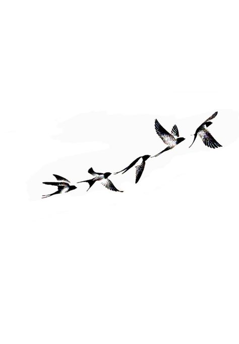 Bird Shadow Tattoo, Bird Tattoo On Hand, Free Bird Tattoo, Bird Hand Tattoo, Bird Silhouette Tattoos, Shadow Tattoo, Minimalist Tattoos, Bird Silhouette, Birds Tattoo