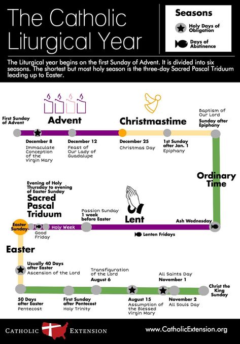 Catholic Calendar, Catholic Liturgical Calendar, Liturgical Calendar, Liturgical Year, Catholic Beliefs, Catholic Education, Catholic Family, Faith Formation, Catholic Kids