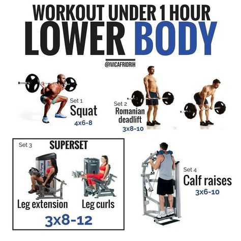 LOWER BODY (LEGS) WORKOUT UNDER 1 HOUR! Don't have much time for a workout, but still want to get after it? Give this quick and effective lower body workout a try. The workout consists of 4 sets, 1 of them (set 3) is a superset. Supersets are used to save #beerbelly Body Squats, Leg Training, Leg Curl, Weight Training Workouts, Building Muscle, Chest Workout, Legs Workout, Gym Workout Tips, Lower Body Workout