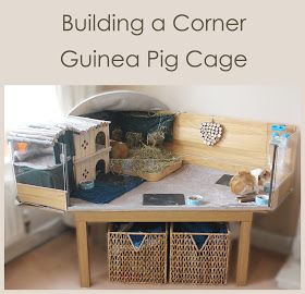 Craft me Happy!: Building a corner DIY C and C style guinea pig cage with a Perspex front Diy Guinea Pig Cage Furniture, Guinea Pig Cage Ideas, Pig Habitat, Hedgehog Cage, Diy Guinea Pig Cage, Guinea Pig Diy, Guinea Pig Hutch, C&c Cage, Guinea Pig House