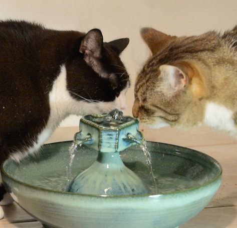 Cat Water Bowl, Cat Fountain, Fountain Design, Cat Water Fountain, Pet Water Fountain, Drinking Fountain, Animal Room, Ceramic Cat, Cat Drinking