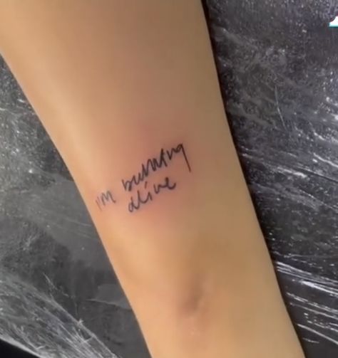 Gracie Abrams Tattoo, Gracie Abrams Lyrics, Lyrics Tattoo, Lyric Tattoos, Gracie Abrams, Little Tattoos, I Tattoo, Tatting, Tattoos