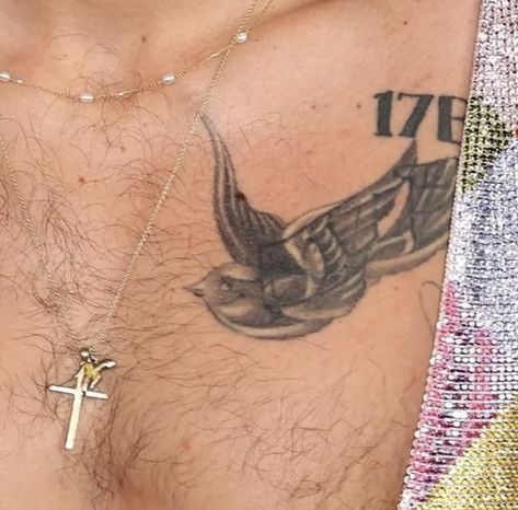 Harry Styles chest tattoo; look at the original “LOVE” tattoo peeking out from behind the bird Harry Styles Chest, Birdcage Tattoo, Harry Styles Tattoos, Swallow Tattoo, Love Tattoo, King Of My Heart, Birds Tattoo, Chest Tattoo, Harry Edward Styles