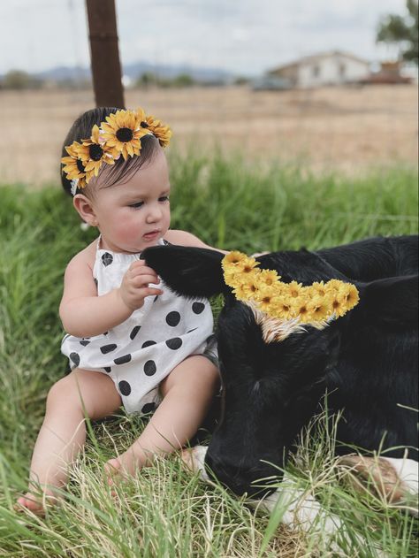 Baby and baby cow 1st Birthday Pictures With Calf, Baby Cowgirl Photoshoot, Baby Cow Photoshoot, Baby And Cow Photoshoot, Calf Photography, Cow Photoshoot, 3 Month Old Baby Pictures, Baby Cowgirl, Country Baby Girl