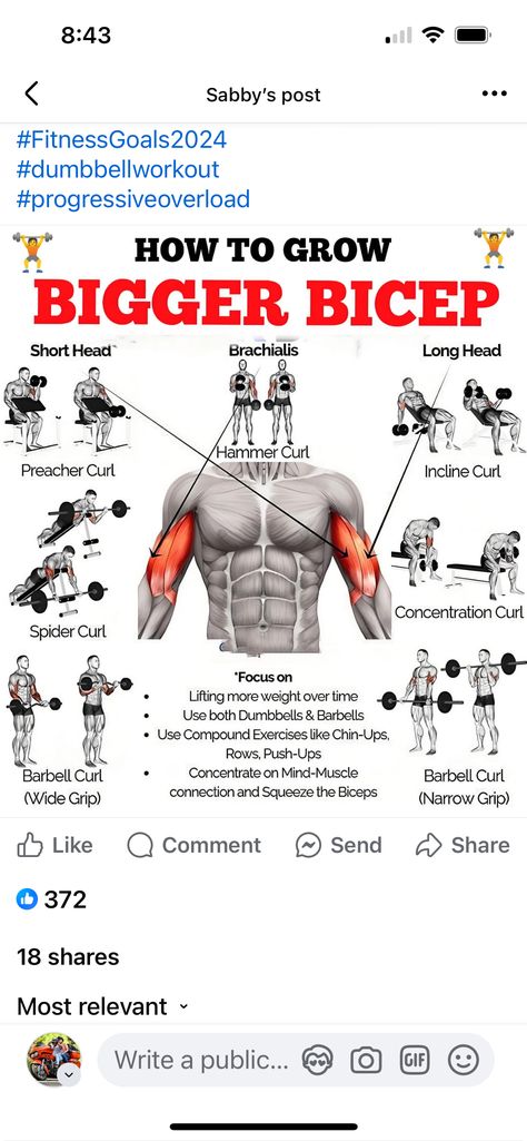 Big Biceps Workout, Concentration Curls, Bicep Workout, Bicep Muscle, Best Workout Routine, Preacher Curls, Big Biceps, Hammer Curls, Compound Exercises