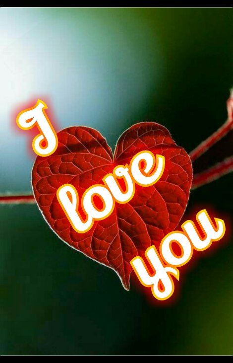 Good Morning I Love You Image, S I Love You Image, Sending All My Love, I Love You Photo Image, Romantic Good Morning Sms, Good Morning Love Sms, My Love Photo, Emoticon Love, Good Morning Wishes Friends