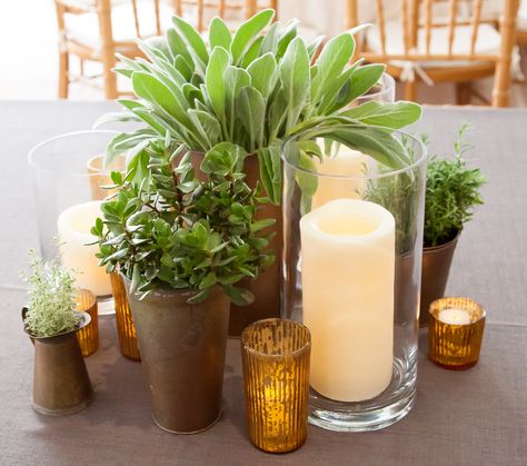 Sustainable Centerpieces Wedding, Herb Wedding Centerpieces, Candles In Vases, Potted Plant Centerpieces, Herb Centerpieces, Herb Wedding, Cold Wedding, Forest Weddings, Plant Centerpieces