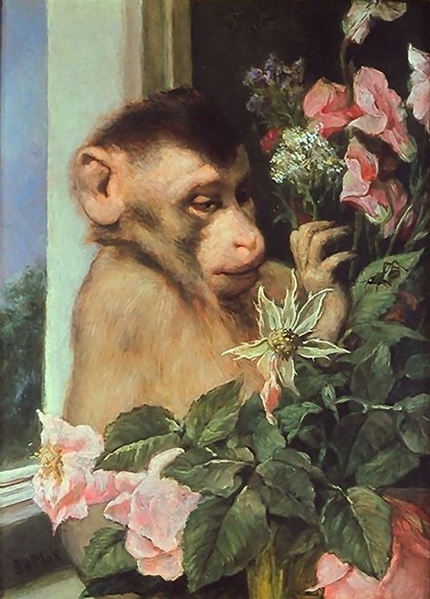 Paintings Of Monkeys, Victorian Animals, Paint Monkey, Monkey Painting, Ape Monkey, Pink Monkeys, Amber Tree, Monkey Art, Antique Oil Painting