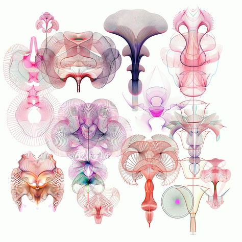 #cabinetofcuriosities #surrealbotany #pink #ai #ia #illustration #spirograph #parametric #人工知能 Organic Shapes Design Art, Data Mapping, Biomorphic Art, Futuristic Decor, Macro Photography Insects, Random Patterns, Parametric Design, Music Artwork, Arte Inspo