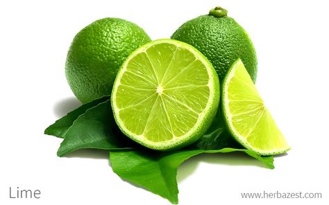 Benefits Of Lime, Health Benefits Of Lime, Fruit And Veg Market, Red Potato Salad Recipe, Red Potato Salad, Sour Foods, Lime Recipes, Citrus Aurantifolia, Color Wallpaper Iphone