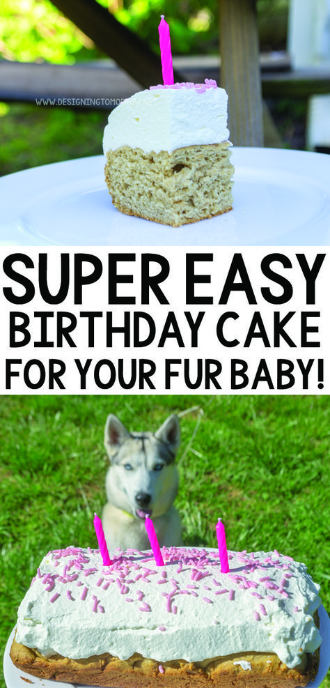 Easy Puppy Birthday Cake Recipe - Designing Tomorrow Best Dog Birthday Cake Recipe, Dog Safe Birthday Treats, Diy Dog Cakes For Dogs, Safe Dog Cake Recipe, Dog's Birthday Cake, Diy Cake For Dogs, Dog Friendly Cake Easy, Cake Safe For Dogs, Easy Birthday Cake For Dogs