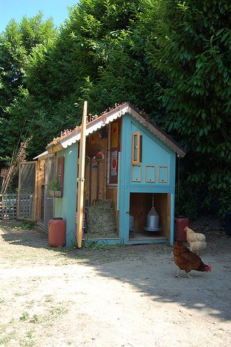 Explore misterkrista's photos on Flickr. misterkrista has uploaded 5521 photos to Flickr. Chicken Shed, Chicken Poop, Chicken Home, Chicken Coup, Urban Chickens, Coop Design, Chicken Coop Designs, Shed Colours, Keeping Chickens