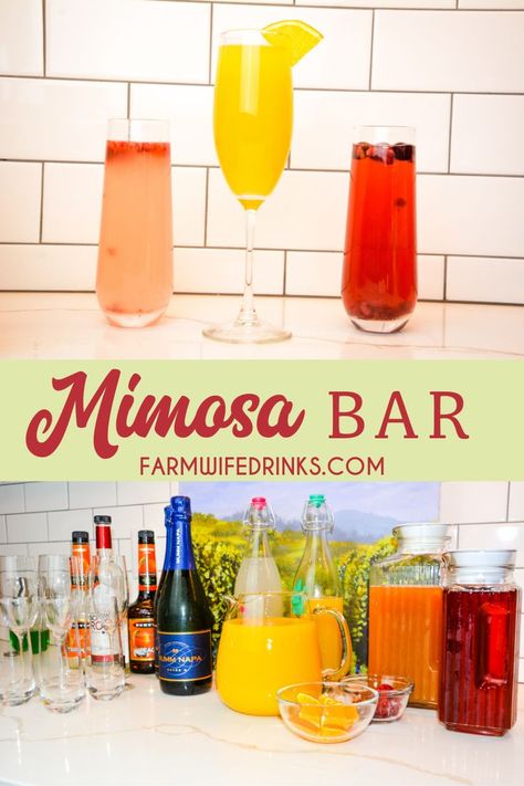 Mimosa bar ideas can include types of juices, garnishes, glasses, and even champagne, prosecco, or cava to help perfect your next brunch, shower, or holiday gathering. Learn everything you will need to know how to make a mimosa bar at your next event. #mimosas #champagne #prosecco #mimosabar #cocktails #babyshower #weddingshower #christmas Mimosa Bar Ideas, Mimosa Drink, Prosecco Bar, Mimosa Recipe, Cocktail Appetizers, Prosecco Cocktails, Mimosa Bar, Easy Family Dinners, Family Dinner Recipes