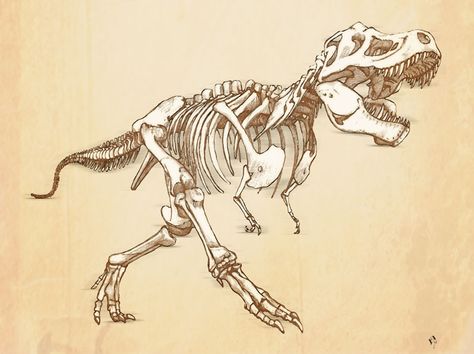 T-Rex drawing skeleton Tyrannosaurus Rex Skeleton, Bone Drawing, Skeleton Artwork, White Character, Dinosaur Tattoos, Skeleton Drawings, Skeleton Illustration, Dinosaur Drawing, Dinosaur Skeleton