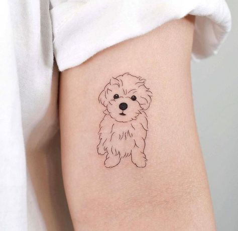 Tattoo For Puppy, Shihpoo Tattoo, Coton De Tulear Tattoo, Shih Tzu Outline Tattoo, Cavoodle Tattoo, Maltipoo Tattoo Ideas, Maltese Tattoo Minimalist, Fluffy Dog Tattoo, Shih Tzu Tattoo Minimalist