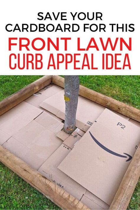 Diy Tree Base, Front Yard Tree Landscaping, Acnh Garden, Curb Appeal Landscape, Mailbox Landscaping, Trees For Front Yard, Diy Curb Appeal, Japanese Maple Tree, Tree Base