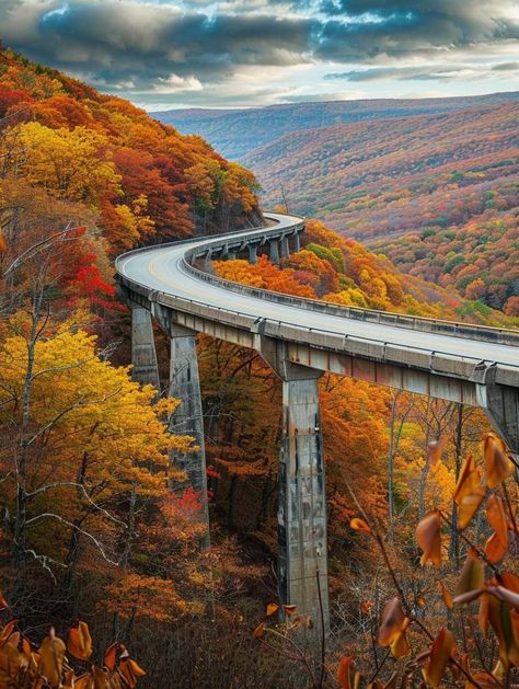 Blue Ridge North Carolina, Allegheny Mountains, Blue Ridge Parkway, Best Pics, Beautiful Scenery, Blue Ridge, West Virginia, Travel Usa, Arm Tattoo