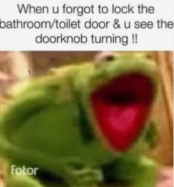 Just look at the door if its closed and theres a light on theres most likely and being inside Funny Muppets, Kermit Memes, Frog Meme, Humor Mexicano, Clean Memes, Funny Animal Jokes, Retro Humor, Relatable Post Funny, Art Tattoos