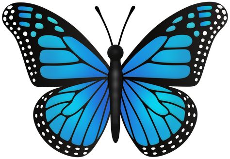 Butterfly Painting Aesthetic, Blue Butterfly Png, Blue Butterfly Painting, Photography Tea, Pure Aesthetic, Custom Photo Wallpaper, Happy Birthday Png, Theme Activities, Rosé Png