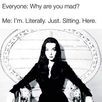 Goth Humor, Goth Memes, Resting Witch Face, Gothic Interior, Feminist Design, Witch Face, You Mad, Im Crazy, Feminist Art