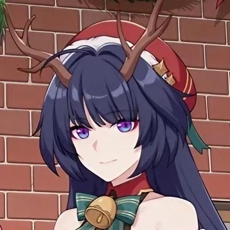 Honkai Impact 3rd Icon, Hsr Icons, Honkai Icons, Raiden Mei, Pookie Wookie, Honkai Impact 3rd, Merry Christmas Everyone, Christmas Icons, Honkai Impact