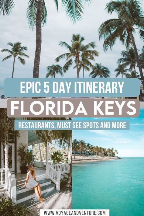 Miami To Florida Keys Trip, Best Beaches In Florida Keys, Key West Road Trip Itinerary, Things To Do In The Keys Florida, Florida Keys Road Trip Itinerary, Miami To Key West Road Trip Itinerary, Florida Keys Things To Do, Florida Keys Family Vacation, Florida Keys Itinerary