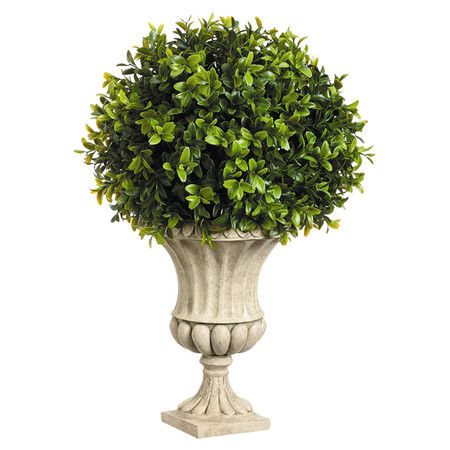 Bring a touch of natural appeal to your foyer or sunroom with this eye-catching faux boxwood arrangement.  Product: Boxwood arra... Topiary Decor, Boxwood Landscaping, Ball Topiary, Box Wood Shrub, Boxwood Balls, Topiary Plants, Artificial Topiary, Artificial Plants And Trees, Boxwood Topiary