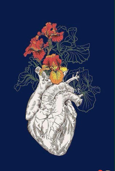 Human Heart With Flowers, Iris Heart, Heart With Flowers, Draw Flowers, Flowers Drawing, Drawing Flowers, Heart Drawing, Medical Art, Plant Drawing