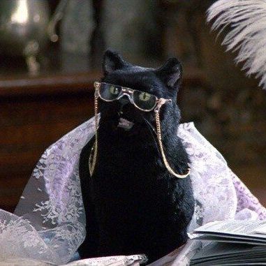 Was Salem from Sabrina The Teenage Witch anyone else's favourite TV character growing up?   #catpeople  #catsofinstagram #cat #cats #catstagram #blackcatsofinstagram #catsofig #halloween #meow #blackcats #instacat #catlover #catlovers Sabrina Cat, Salem Saberhagen, Salem Cat, Golden Girls Quotes, Sabrina The Teenage Witch, Tv Character, Wearing Glasses, Cat Posters, Cat Face