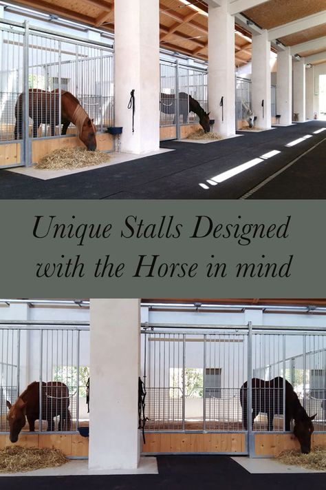 La Prospera Centro Equestre is a gorgeous facility in Italy. This boarding stable has beautiful stalls that were built with the horse in mind. Indoor Arena Ideas, Horse Barns Ideas, Horse Stalls Cheap, Diy Horse Stalls, Horse Stall Name Plates, Equine Property, Horse Stall Ideas, Horse Stalls Diy, Horse Barn Ideas