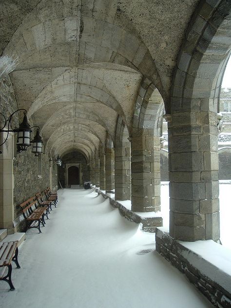 Cloisters at Bryn Mawr in winter Cambridge In Winter, Bryn Mawr College Aesthetic, Fantasy College, Dark Academia Winter, Winter Architecture, Winter Academia, Fantasy Winter, Bryn Mawr College, Winter Castle