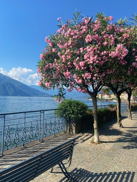 Italy Flowers, Como Lake, Iphone Wallpaper Landscape, Magical Life, Italy Summer, Iphone Background Images, Ocean Vibes, Paradise On Earth, Vacation Places