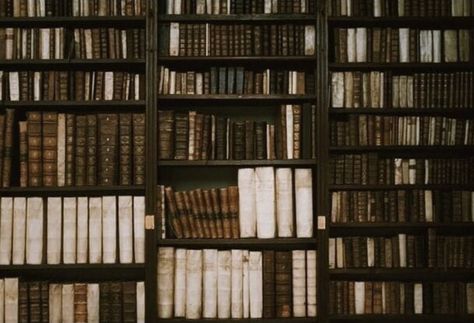 Academia Aesthetic Wallpaper, Dark Academia Aesthetic Wallpaper, Lots Of Books, Dark Academia Wallpaper, Classic Academia, Dark Acadamia, Library Aesthetic, Hogwarts Aesthetic, Academia Wallpaper