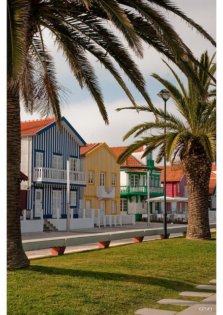 Houses By The Beach, Spain Culture, Portuguese Culture, Costa Nova, Around The World In 80 Days, Visit Portugal, Beach Huts, Portugal Travel, Lets Go