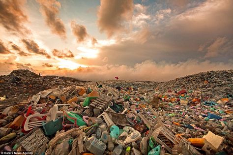 Miles of litter: Thilafushi is an artificial island in the Maldives where about 400 tonnes of rubbish is dumped every day تلوث المياه, Mind Blowing Images, Sustainability Projects, Artificial Island, Ocean Pollution, La Pollution, Environmental Pollution, Discovery Channel, Plastic Pollution