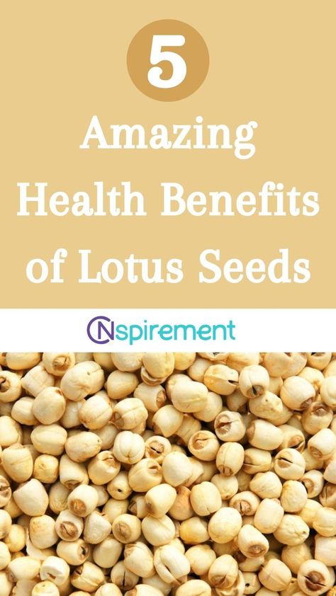 Are you looking for a one-of-a-kind health booster? Lotus seeds might just be what you need. Explore the fascinating health benefits of these seeds and their significance in traditional Chinese medicine. Seed Benefits, Lotus Seeds, Seeds Benefits, Lotus Seed, Healing Herbs, Traditional Chinese Medicine, Chinese Medicine, Traditional Chinese, Health Benefits