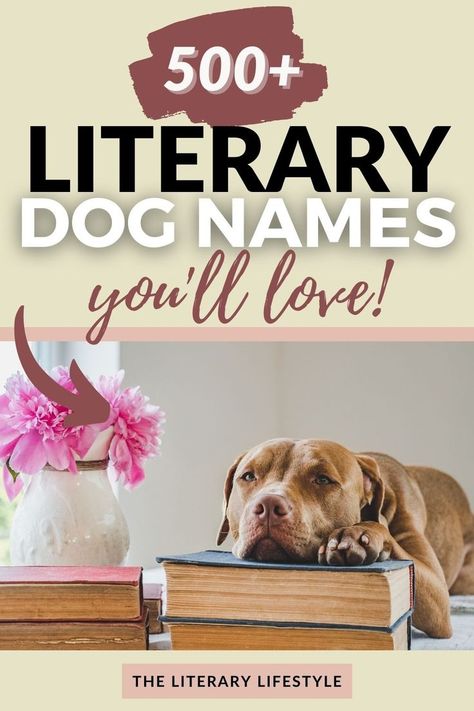 Names From Books, Great Dog Names, Literary Names, Vintage Baby Names, Girl Dog Names, Best Dog Names, Paperback Book Covers, Literary Characters, Famous Dogs