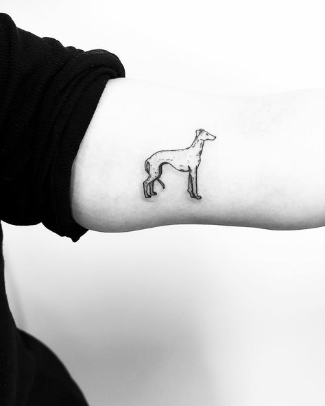 Little Whippet tattoo inked on the left arm by Jake Harry Ditchfield Greyhound Line Drawing, Whippet Tattoo Ideas, Greyhound Tattoo Ideas, Whippet Tattoo, Skin Doodles, Greyhound Tattoo, Tattooed Lady, Related Tattoos, Dog Outline