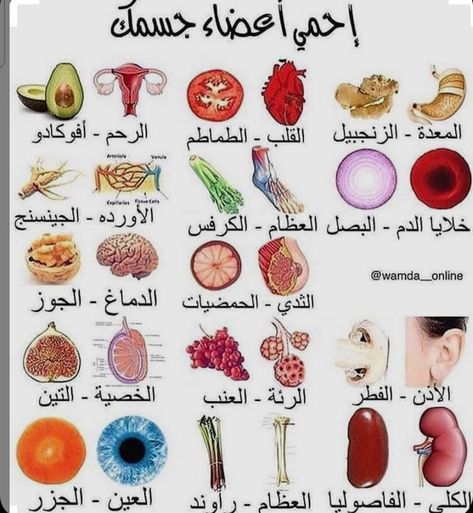 Health Facts Fitness, Health And Fitness Expo, Health Fitness Food, Health Facts Food, Health Fitness Nutrition, Health And Fitness Magazine, Beauty Care Routine, Facial Skin Care Routine, Arabic Language