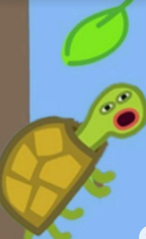 Flying Turtle🐢 Turtle Reaction Pic, Turtle Memes Funny, Turtle Pfp, Evil Images, Aesthetic Turtle, Turtle Meme, Pictures Of Turtles, Turtle Character, Flying Turtle