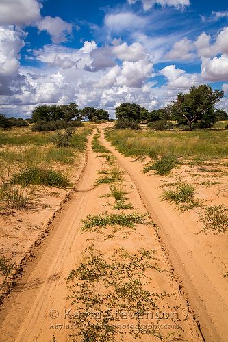 Botswana Culture, Chobe National Park, Northern Cape, Camping Trailers, Okavango Delta, Africa Do Sul, The Beauty Of Nature, Out Of Africa, Dirt Road